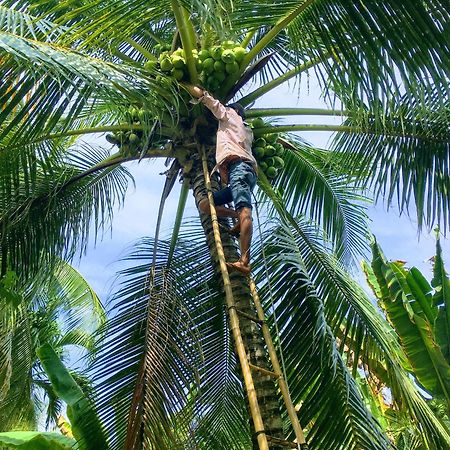 فيلا Coco Happy Farm Ben Tre المظهر الخارجي الصورة