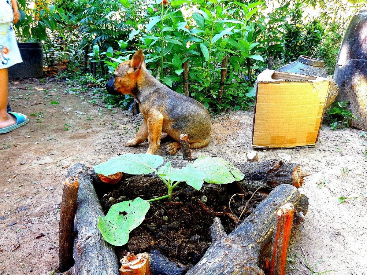 فيلا Coco Happy Farm Ben Tre المظهر الخارجي الصورة