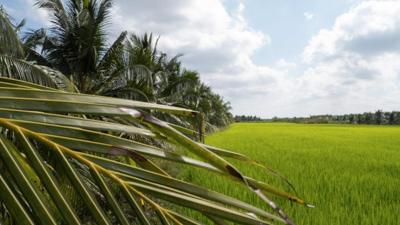 فيلا Coco Happy Farm Ben Tre المظهر الخارجي الصورة