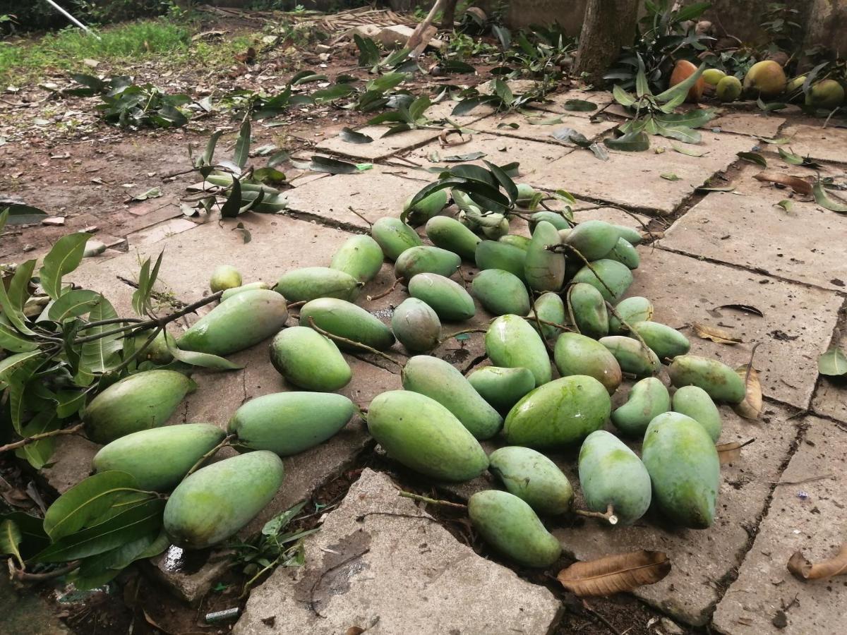 فيلا Coco Happy Farm Ben Tre المظهر الخارجي الصورة