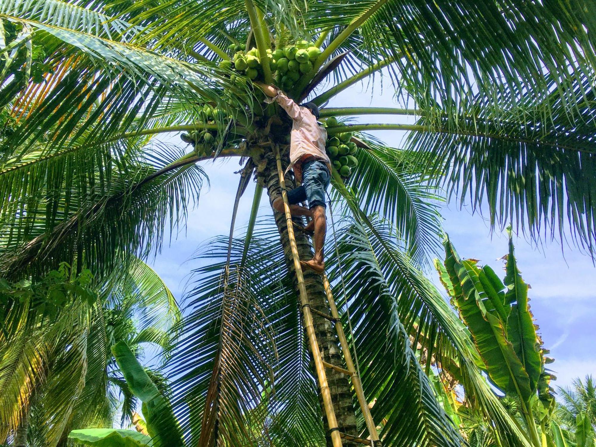 فيلا Coco Happy Farm Ben Tre المظهر الخارجي الصورة