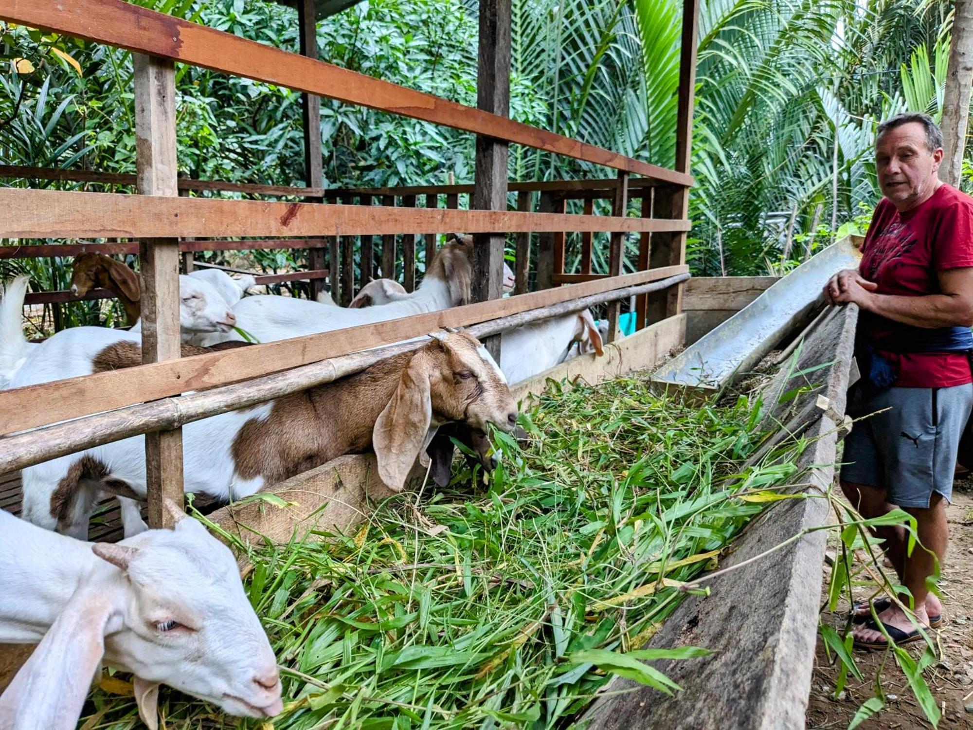 فيلا Coco Happy Farm Ben Tre المظهر الخارجي الصورة